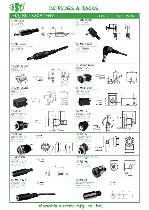 TYPE 2