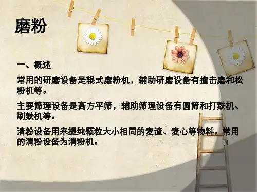 小麦制粉:磨粉