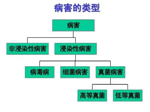 植物病害的类型与防治