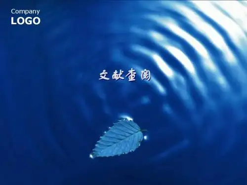 文献查询