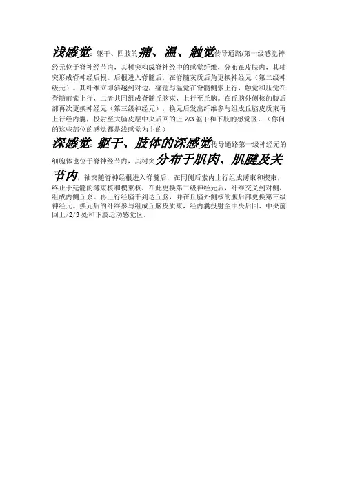 浅感觉    深感觉