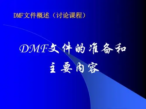 DMF文件的准备和主要内容