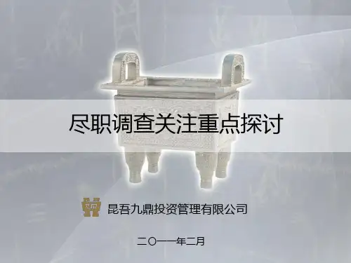项目尽职调查的重点