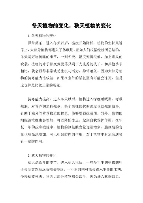 冬天植物的变化,秋天植物的变化
