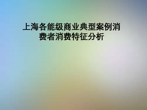上海各能级商业典型案例消费者消费特征分析
