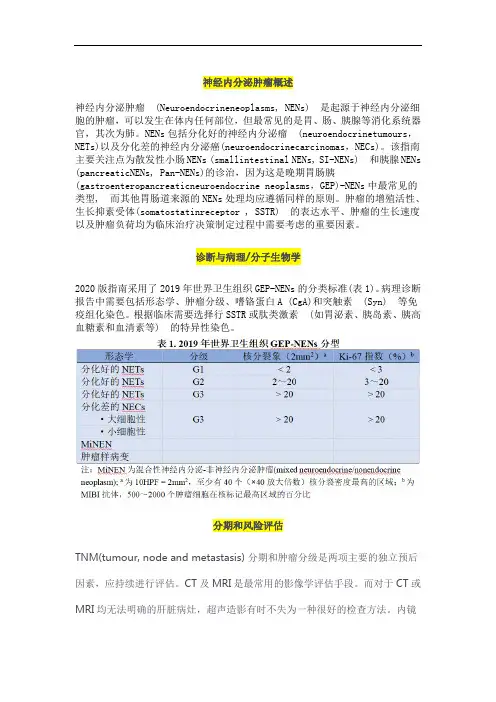 神经内分泌肿瘤概述和治疗