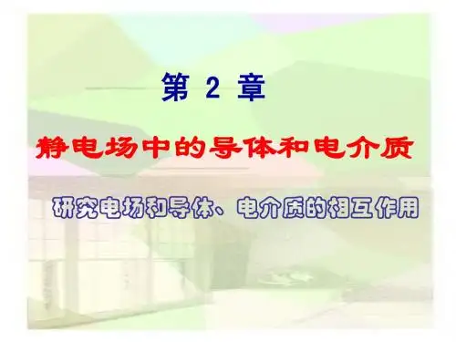导体和电容器11