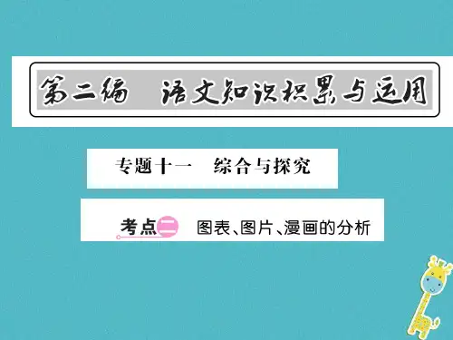 中考语文总复习第2编语文知识积累与运用专题十一综合与探究考点二图标图片漫画的分析课件语文版