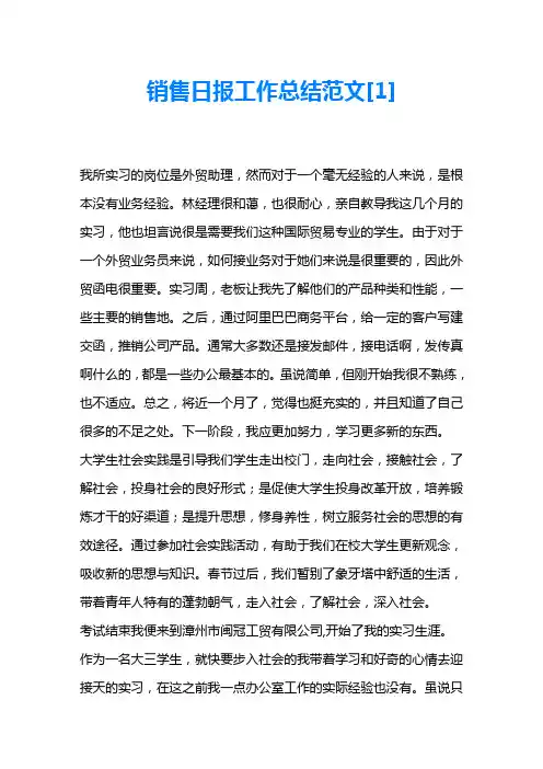 销售日报工作总结范文 2