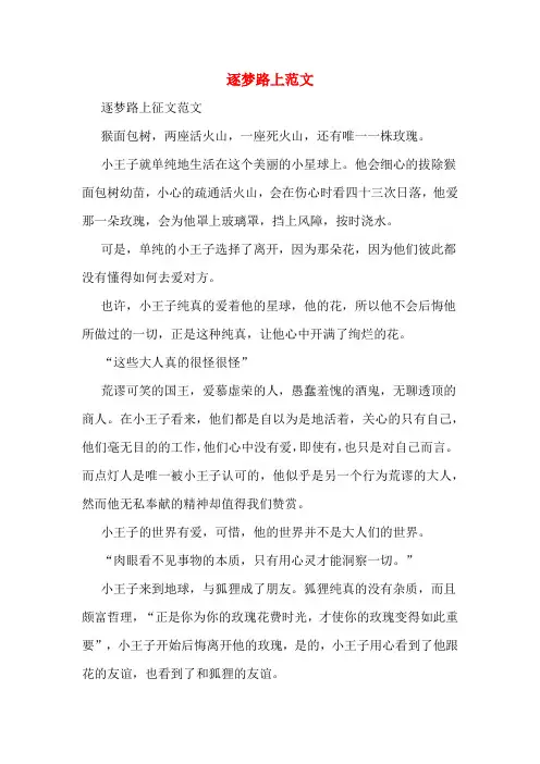 逐梦路上范文