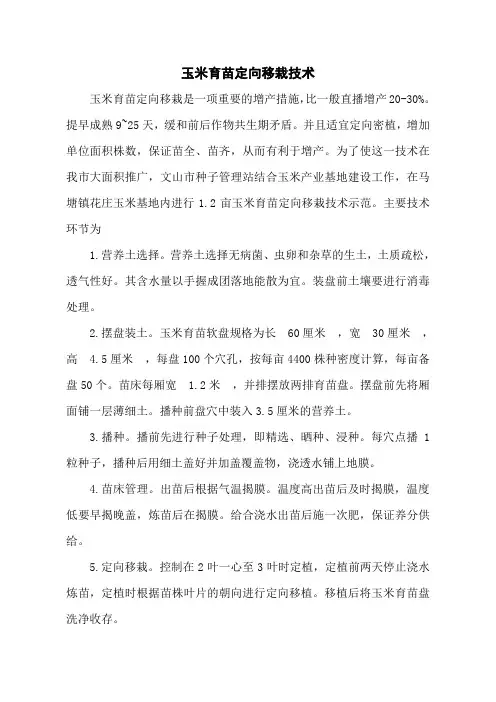 玉米育苗定向移栽技术