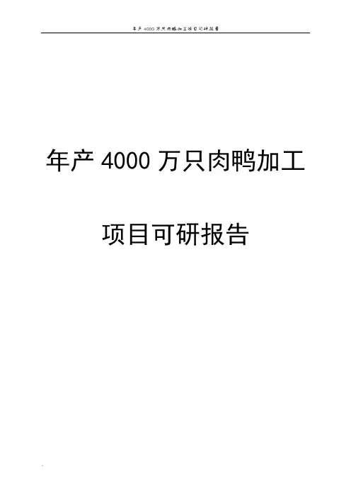 年产4000万只肉鸭加工项目可研报告
