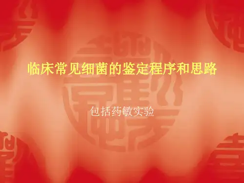 临床常见细菌的鉴定程序和思路 (NXPOWERLITE)精品PPT课件