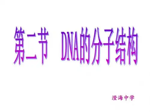 DNA的分子结构