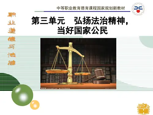 职业道德与法律第六课