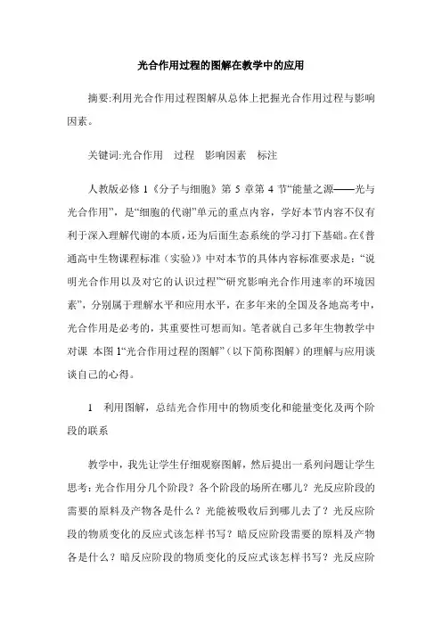光合作用过程的图解在教学中的应用