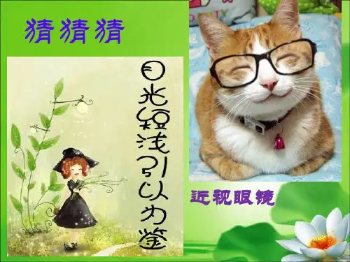 隐形眼镜