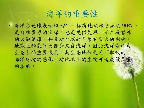 海洋污染.ppt