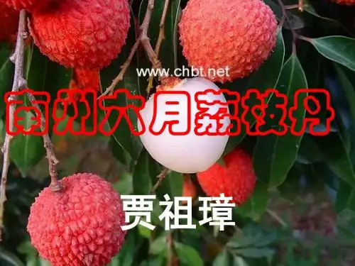 南州六月荔枝丹