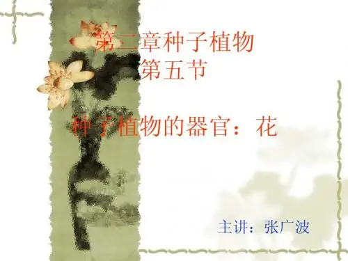 第二章第五节