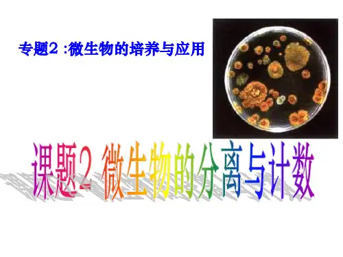 微生物的分离与计数PPT课件