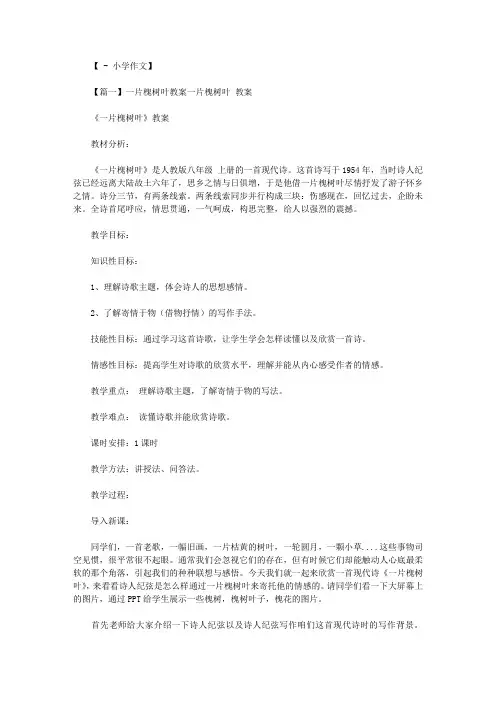 一片槐树叶教案