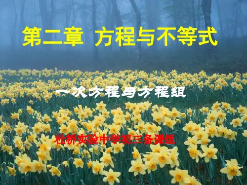 一次方程与方程组复习PPT课件 人教版