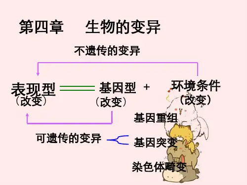 生物：第四章《第二节生物变异在生产中应用》课件5浙科版