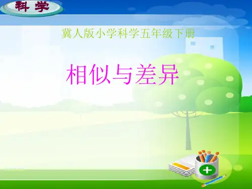 相似与差异