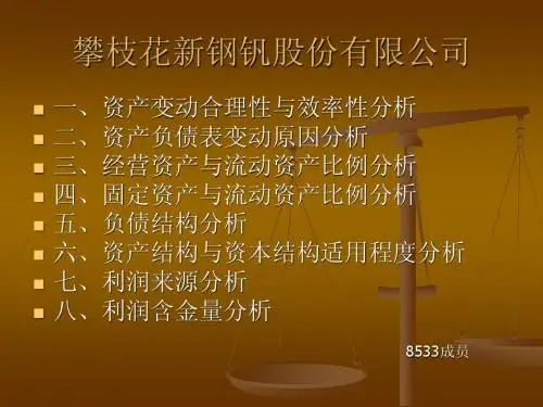 攀枝花新钢钒股份有限公司财务报表分析