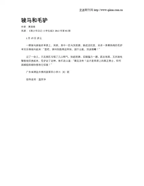 骏马和毛驴