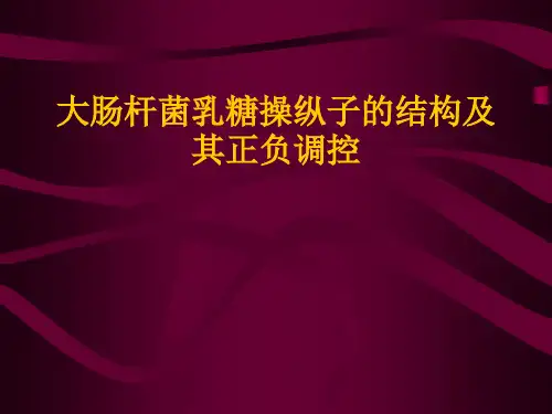 乳糖操纵子分析