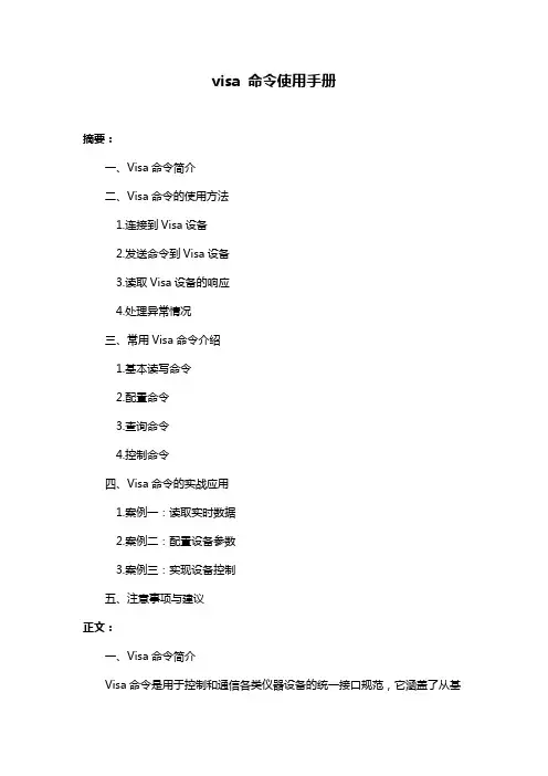 visa 命令使用手册