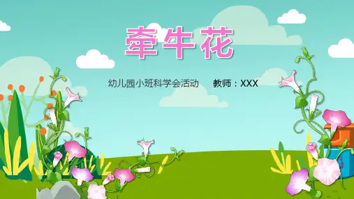 幼儿园小班科学教育活动《牵牛花》PPT模板