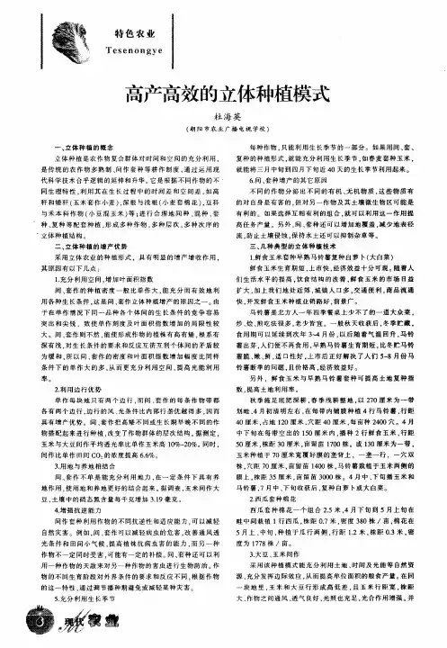 高产高效的立体种植模式