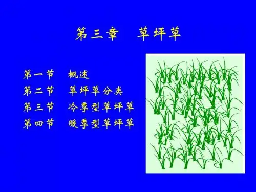 03 第三章 草坪草1