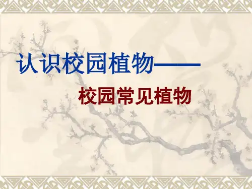认识校园植物
