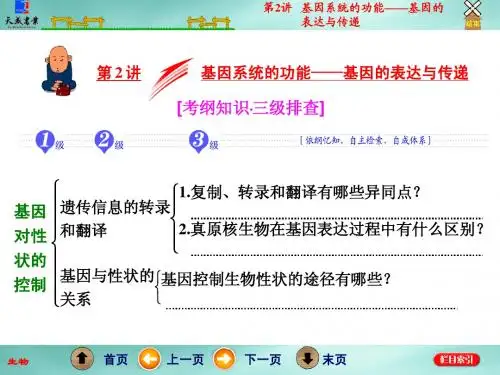 高考生物二轮复习：2.2《 基因系统的功能-基因的表达与传递》ppt课件