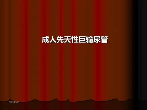[临床医学]成人先天性巨输尿管