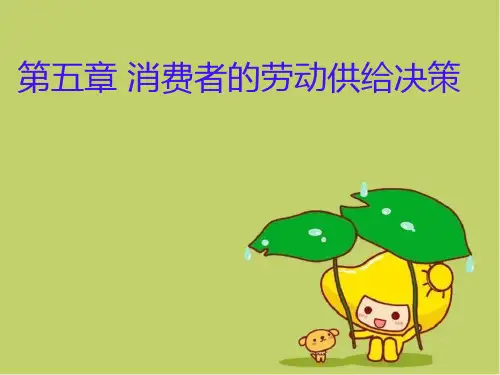 自考消费经济学   第五章  消费者的劳动供给决策