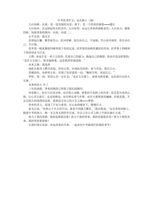 中考优秀作文：走在路上(20)