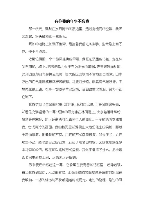 初三作文：有你我的年华不寂寞作文800字