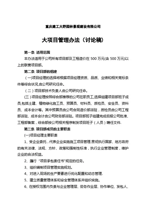 大项目管理办法