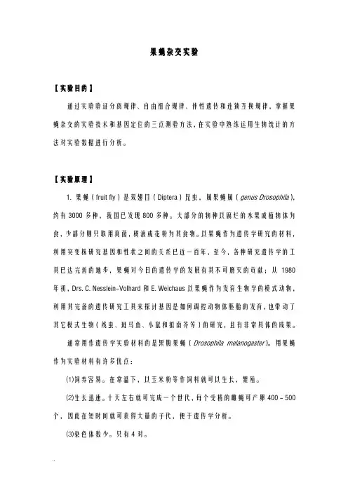 果蝇杂交实验实验报告 2