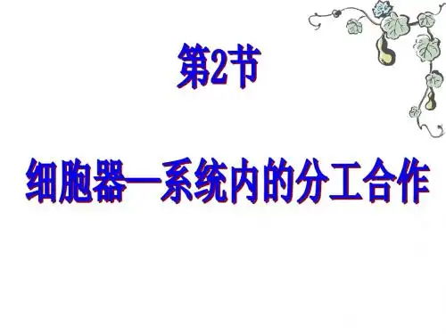 3.2 细胞器-系统内的分工合作