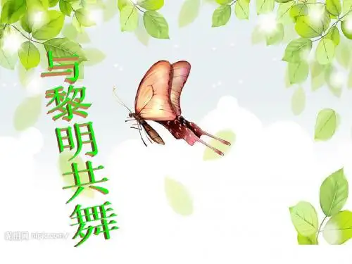 小种子