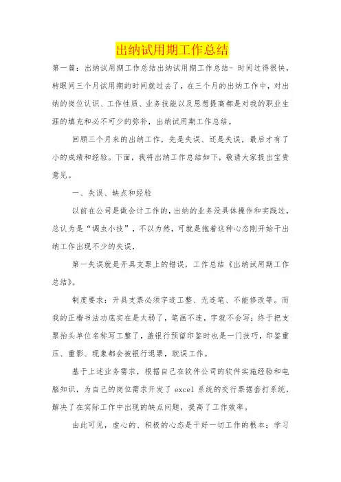 出纳试用期工作总结 2