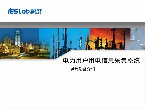 电力用户用电信息采集系统常用功能介绍