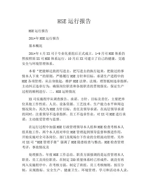 HSE运行报告