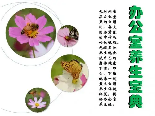 办公室养生宝典